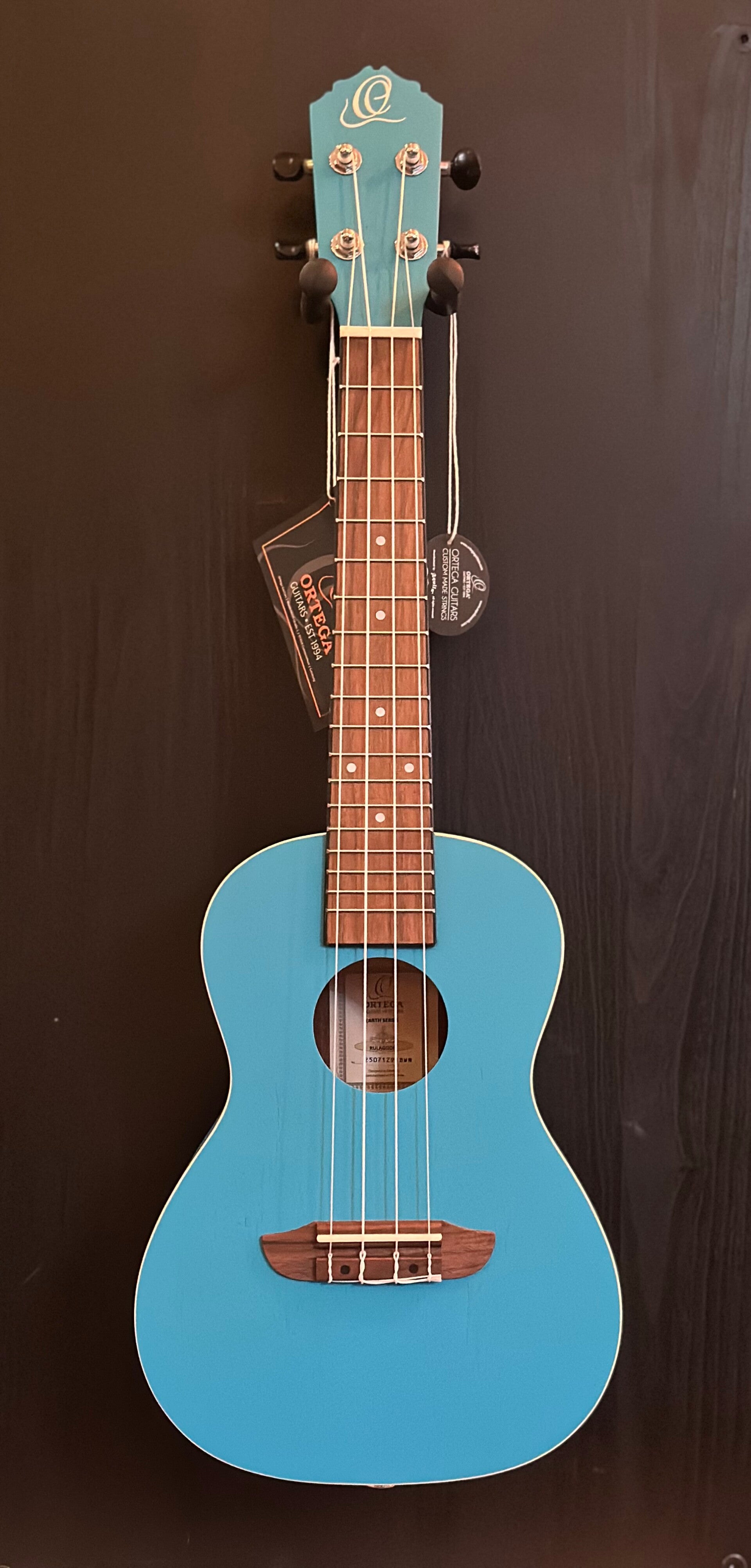ORTEGA Earth Series Concert Ukulele 4 String - Ocean Blue