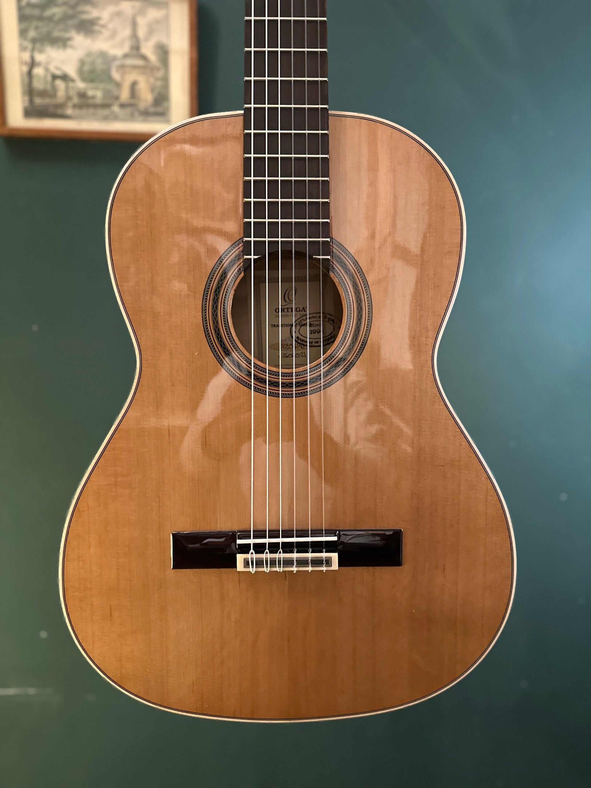 Ortega R20GRG