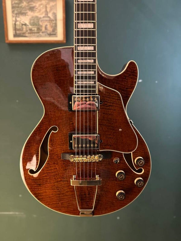 IBANEZ AG95MG-D