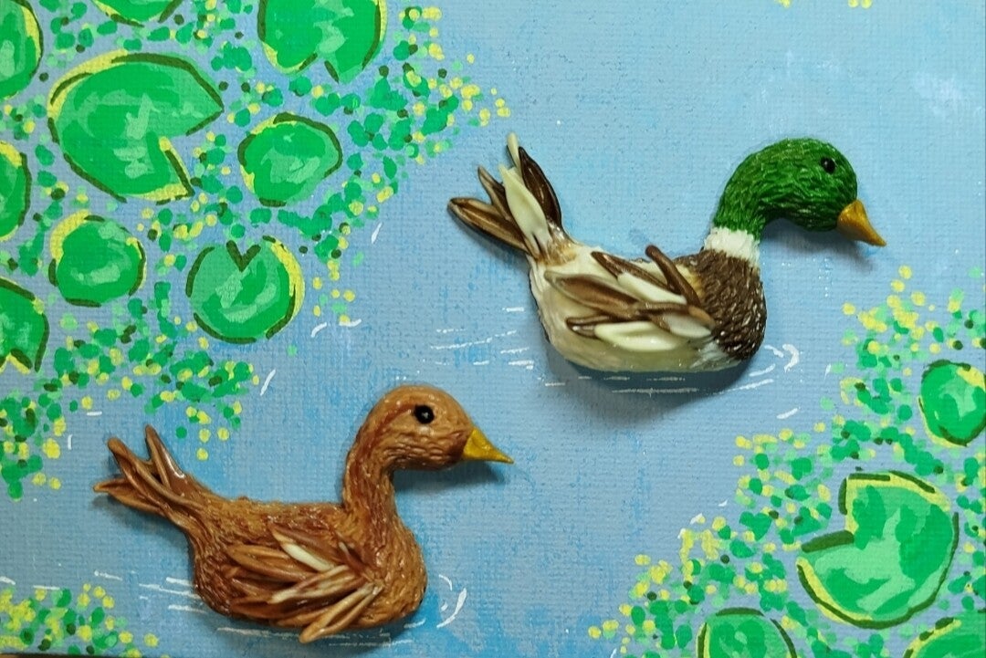 Ducks
