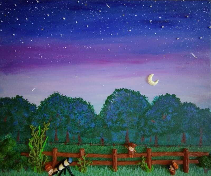 Stargazing on a Starry Night (50cm X 40cm)