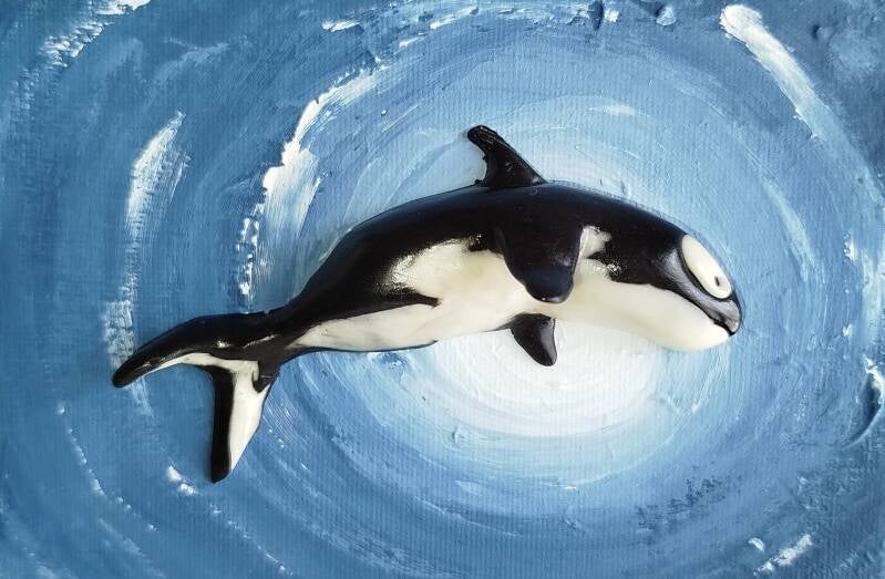 Orca (10cm x 15cm)