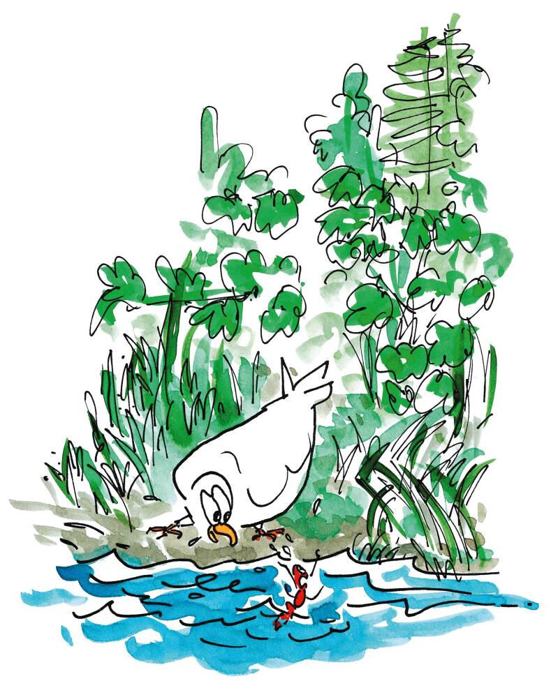 Desine de la fable La Colombe et la Fourmi par Fiami