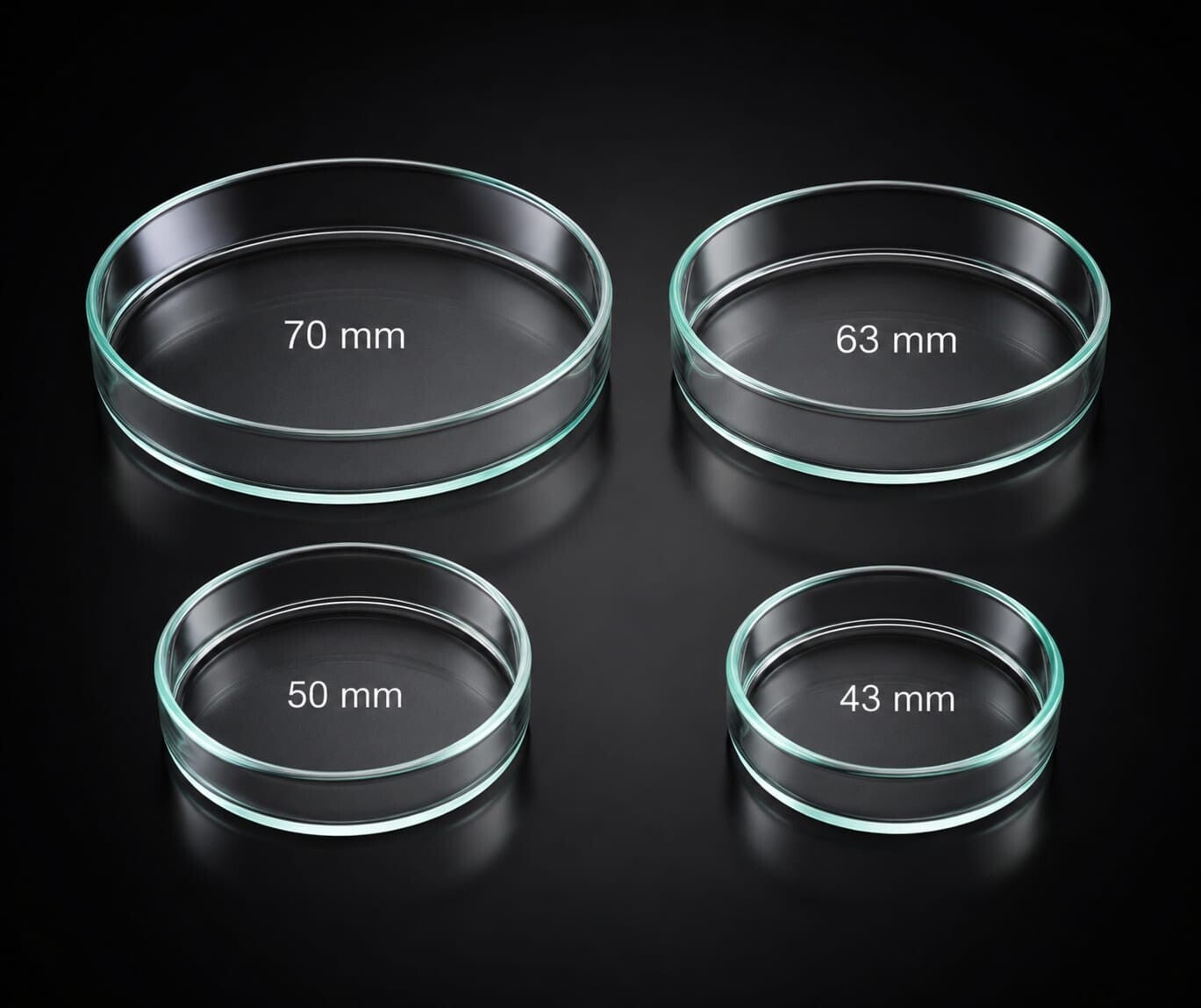 Aquarien Futterschale Glas Garnelen Krebse Süßwasser