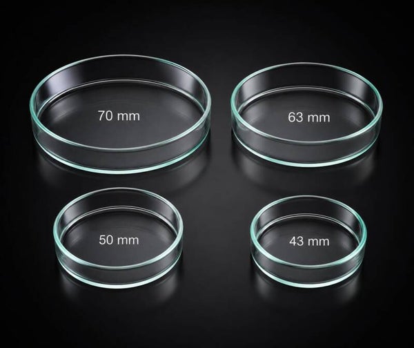 Aquarien Futterschale Glas Garnelen Krebse Süßwasser