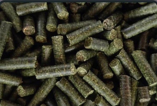 Garnelen Futtersticks 7er Multivitamin – Ergänzungsfutter für Garnelen (25 g