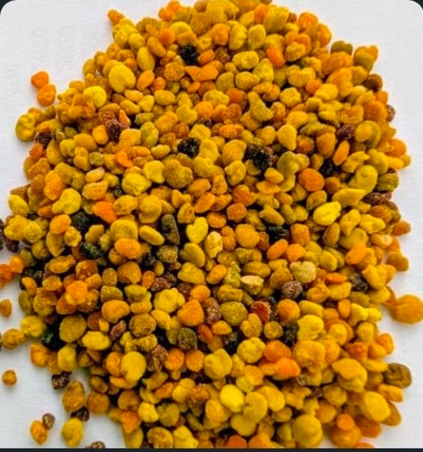 100 % Blütenpollen - Premium Futter 10gr