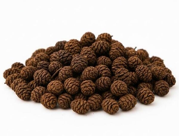 Erlenzapfen (10 g) – Naturprodukt für Aquarium