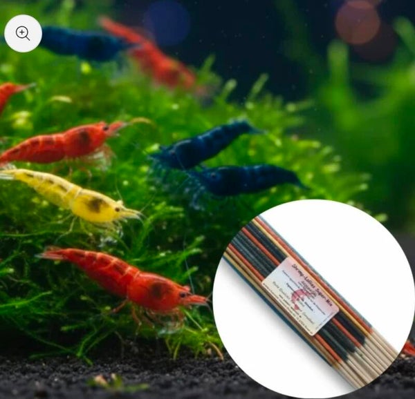 100 St. Garnelen MIX Neocaridina David + Gratis Shrimp-Lollies Super-Mix (11 Stück)