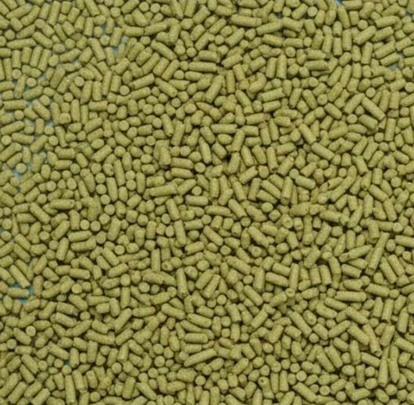 Grüner Hafer Pellets 25 g – Natürliches Ergänzungsfutter für Garnelen, Schnecken & Zierfische