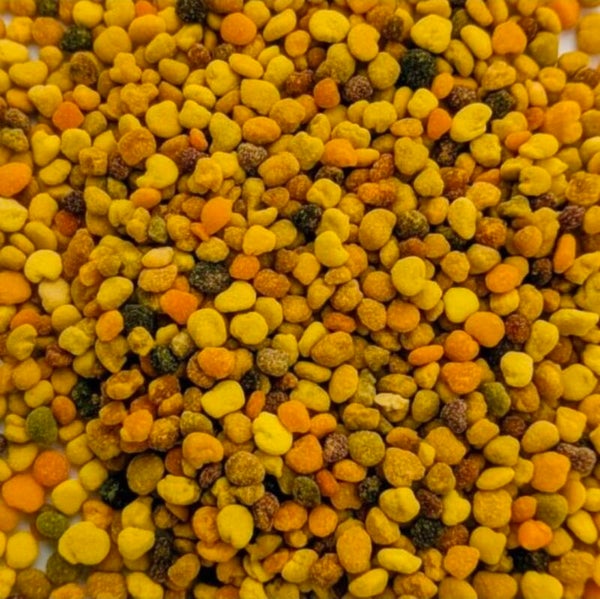 100 % Blütenpollen XXL Packung - Premium Futter 30 gr.