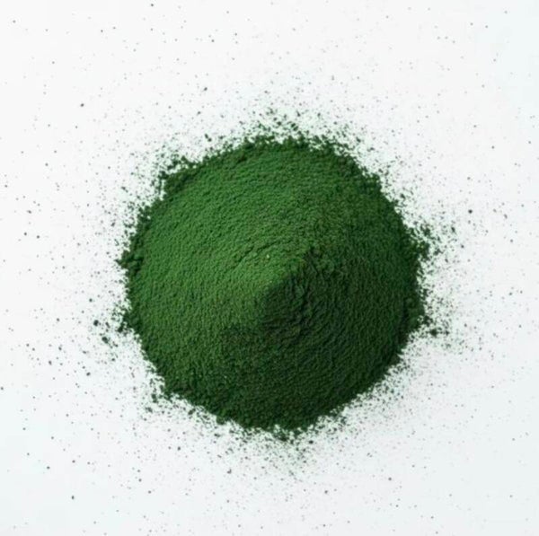 Spirulina gemahlen 25 g – Natürliches Superfood für Garnelen, Schnecken & Zierfische
