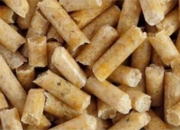 Garnelen Futtersticks Karotte Pur – Naturfutter für Garnelen (25 g)