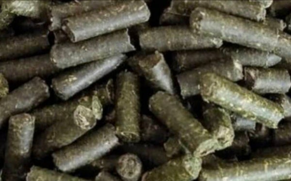 Natürliches Garnelenfutter mit Brennnessel (25 g)