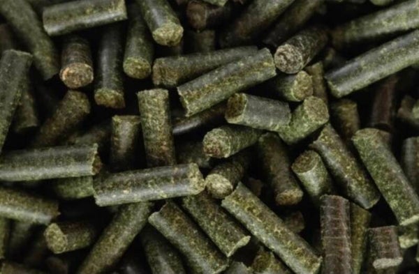 Garnelen Futtersticks 7er Multivitamin – Ergänzungsfutter für Garnelen (25 g)