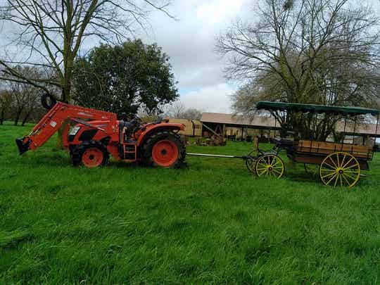 Visite de la ferme en calèche Place Enfant (de 2 ans à 10 ans) samedi 2 août 2025 à 14h00