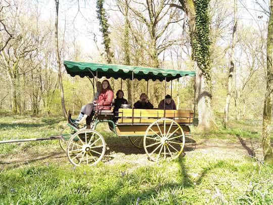 Visite de la ferme en calèche Place Enfant (de 2 ans à 10 ans) samedi 2 août 2025 à 16h00
