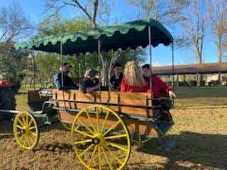 Visite de la ferme en calèche Place Adulte dimanche 28 septembre 2025 à 14h00