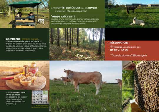 Visite de la ferme en calèche Place Enfant (de 2 ans à 10 ans) dimanche 28 septembre 2025 à 16h00