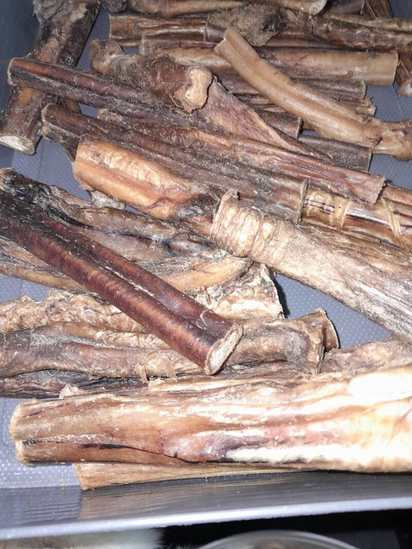 Natural treats - pizzle