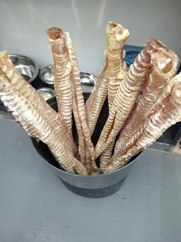 Natural treats - XL trachea