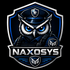 Naxosys LLC Security System Company