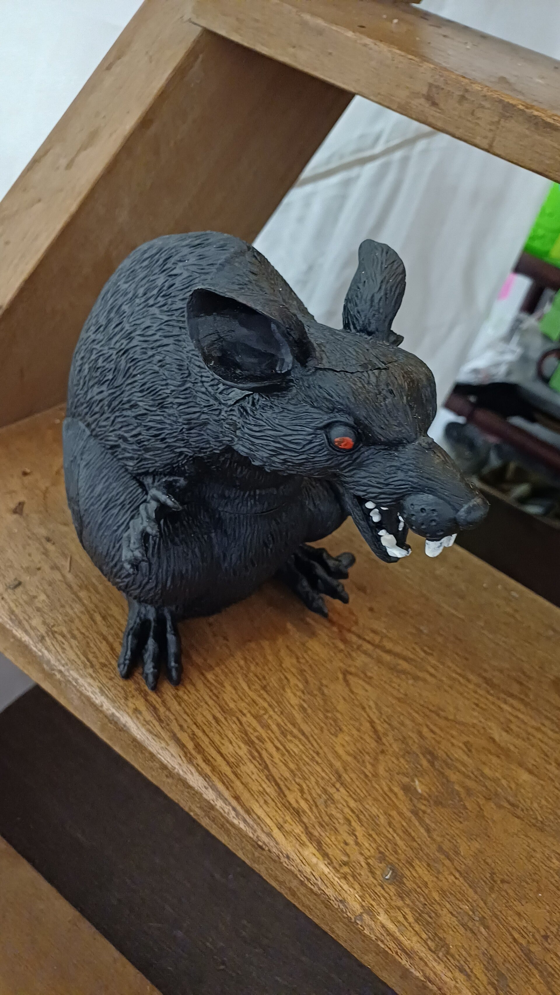 Rat