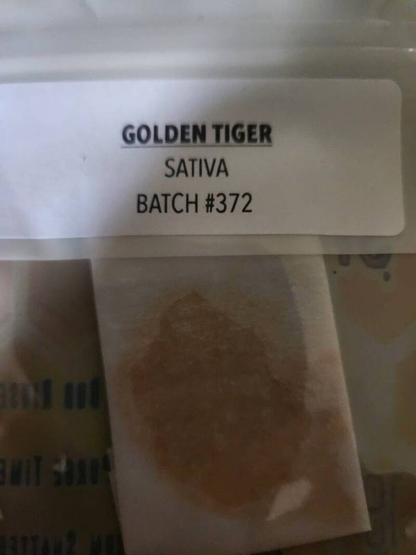 Golden tiger