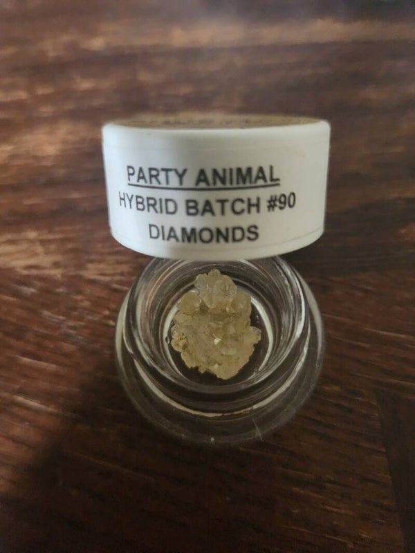 Party animal