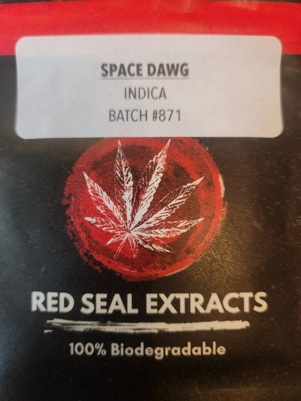 Space Dawg