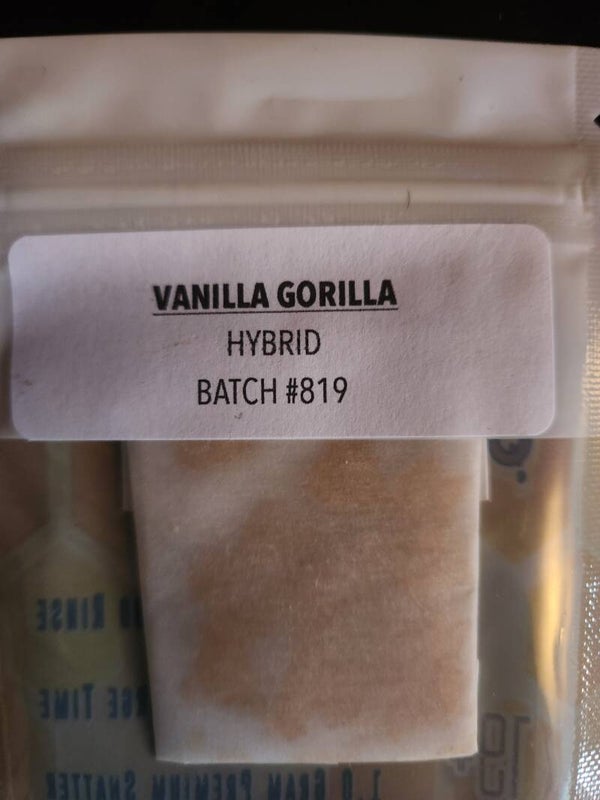Vanilla Gorilla