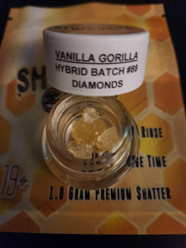 Vanilla Gorilla