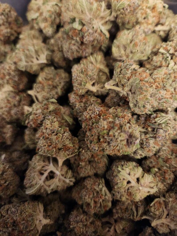 Quattro kush #7