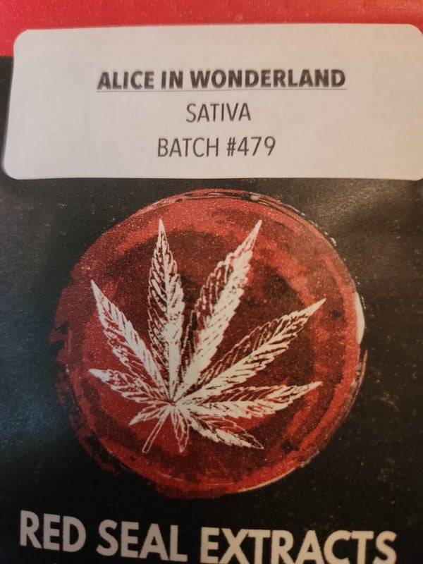 Alice in wonderland