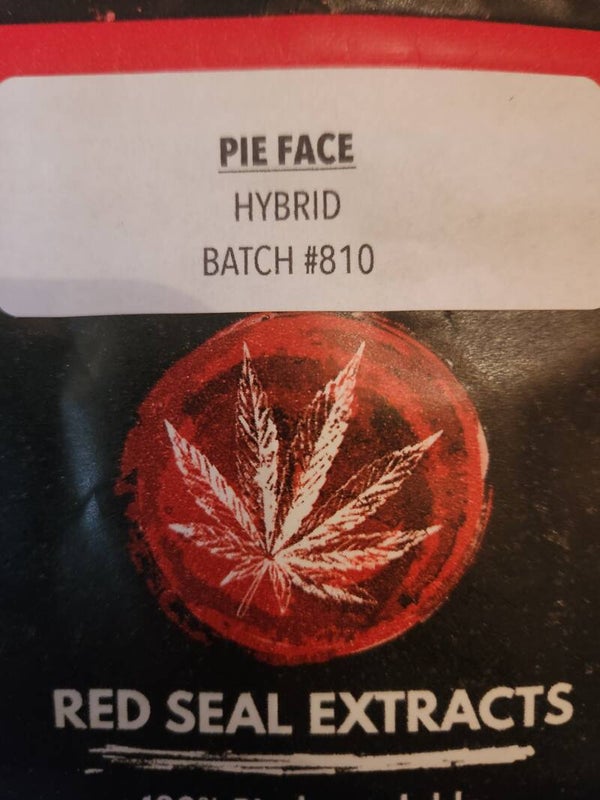 Pie face
