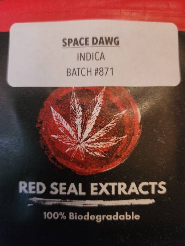Space Dawg