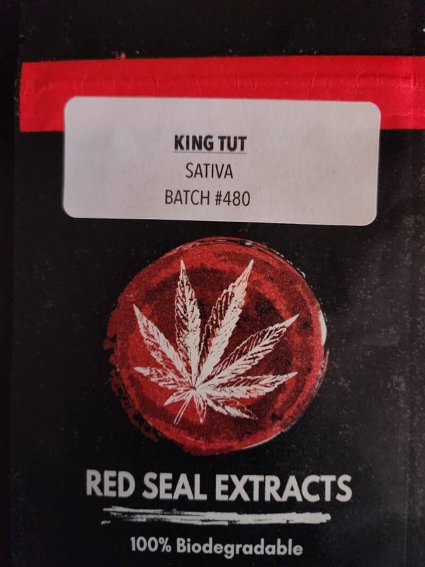 King Tut