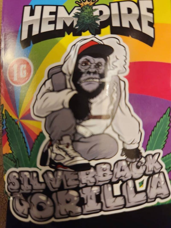 SilverBack Gorilla