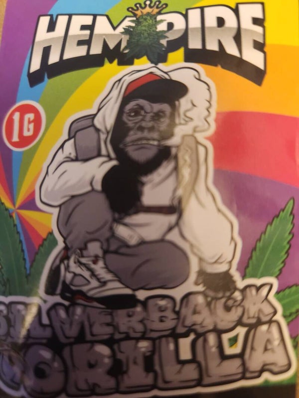 Silverback Gorilla