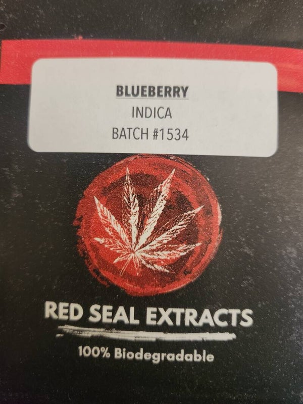 Blueberry