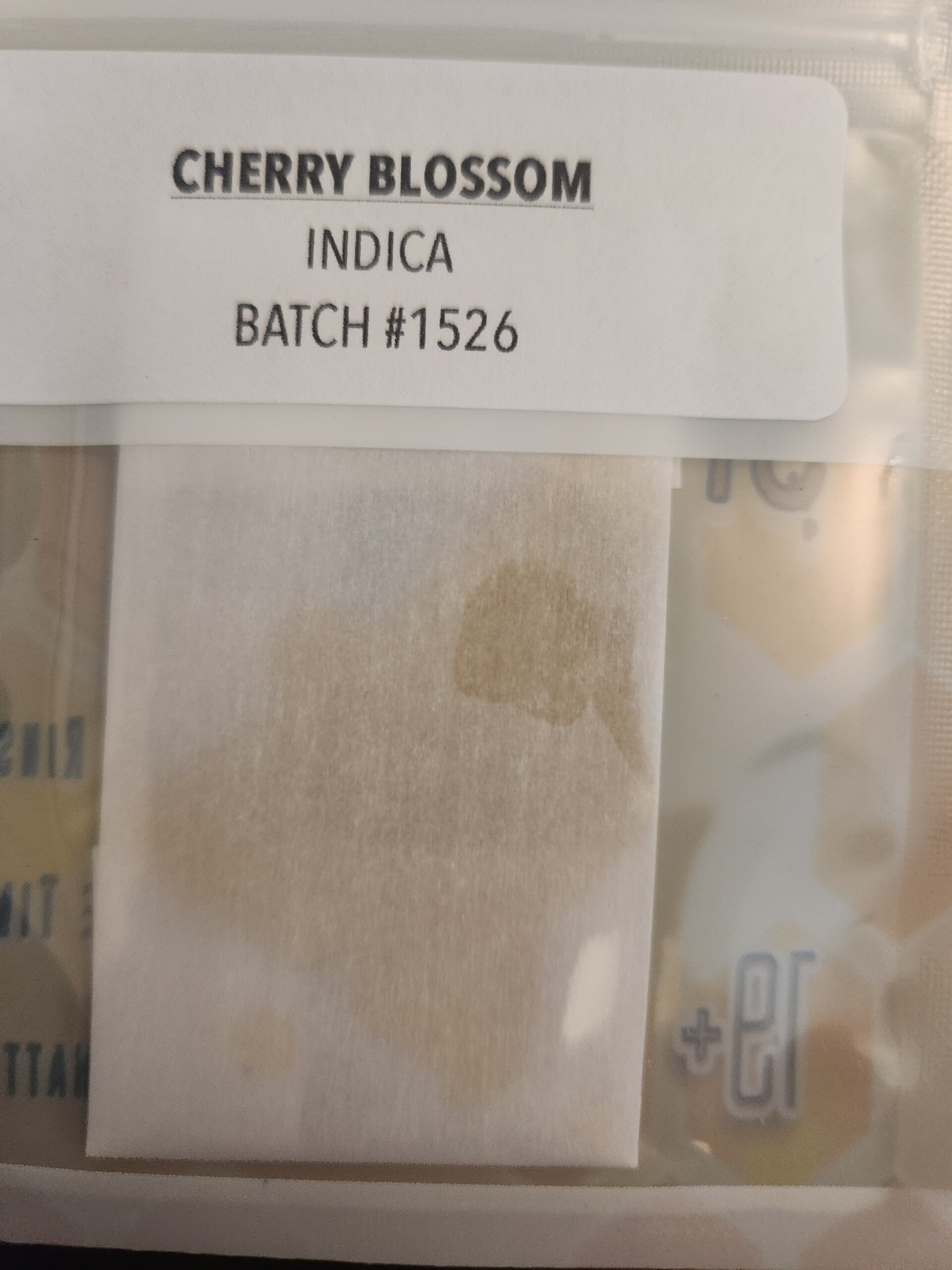 Cherry Blossom