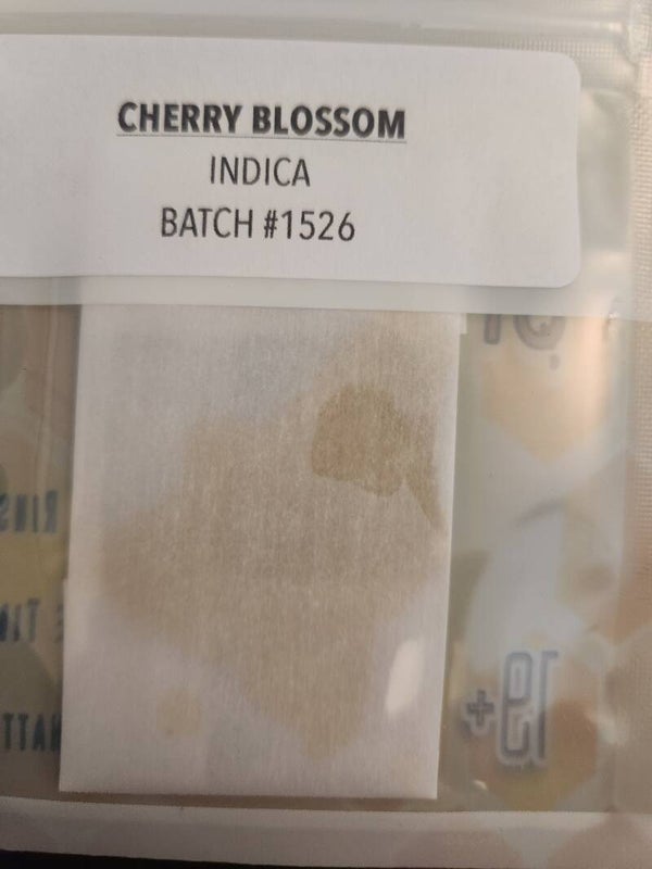 Cherry Blossom