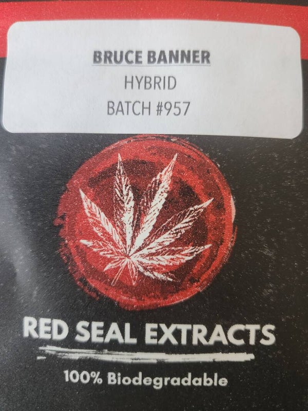 Bruce Banner