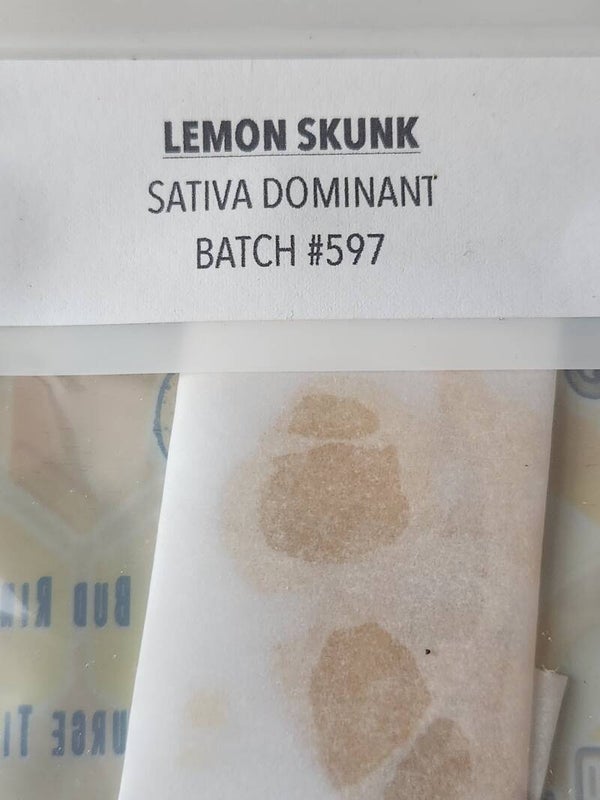 Lemon Skunk