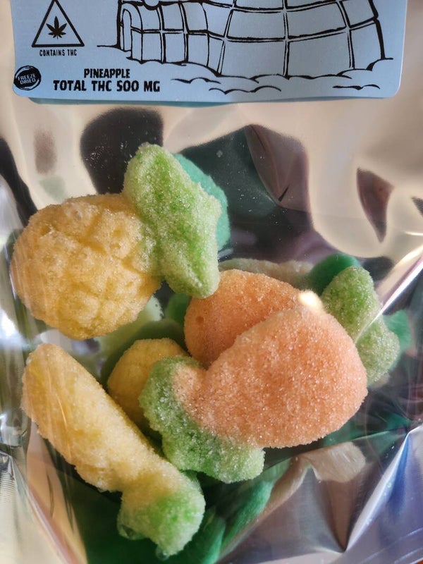 500 mg Pineapple freeze dry edible