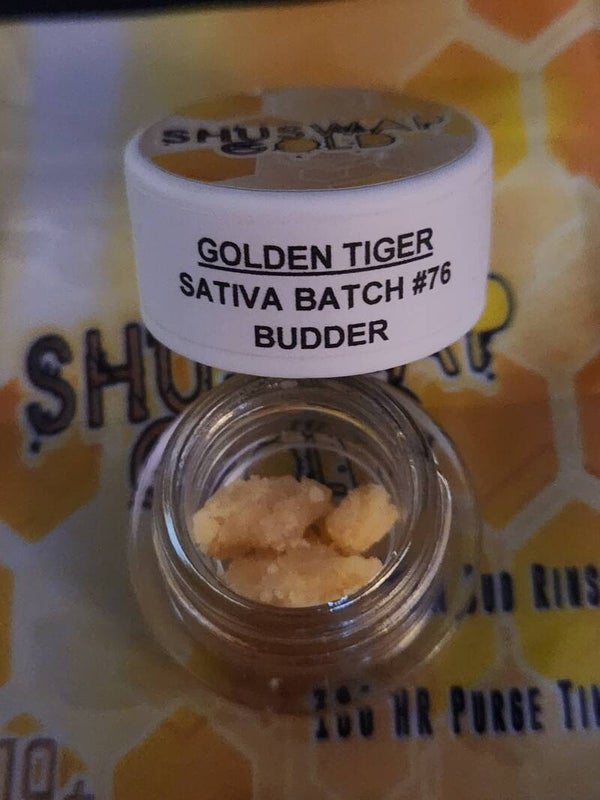 Golden tiger