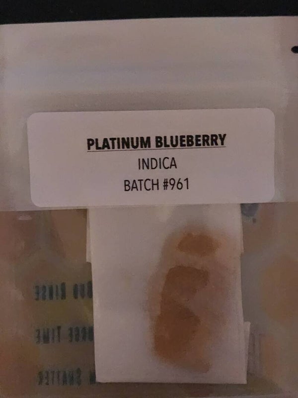Platinum Blueberry