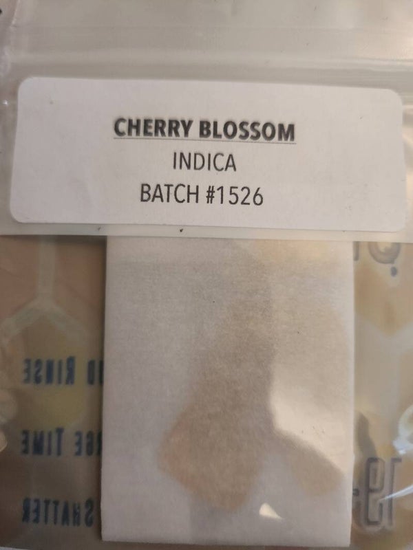 Cherry Blossom