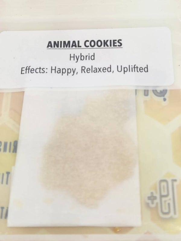 Animal cookies