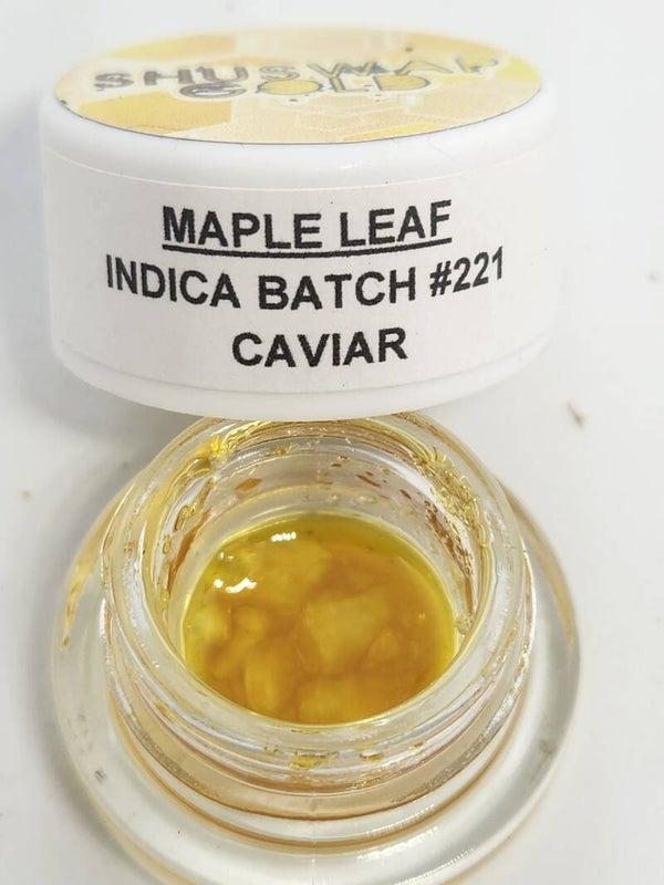 Maple 🍁
